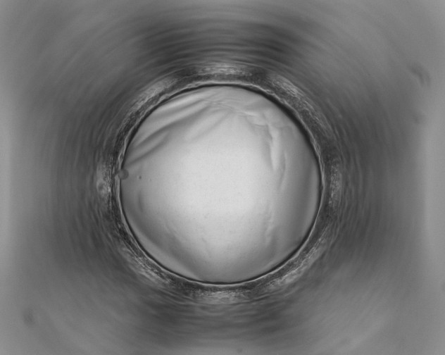 X0000111921017200908101217