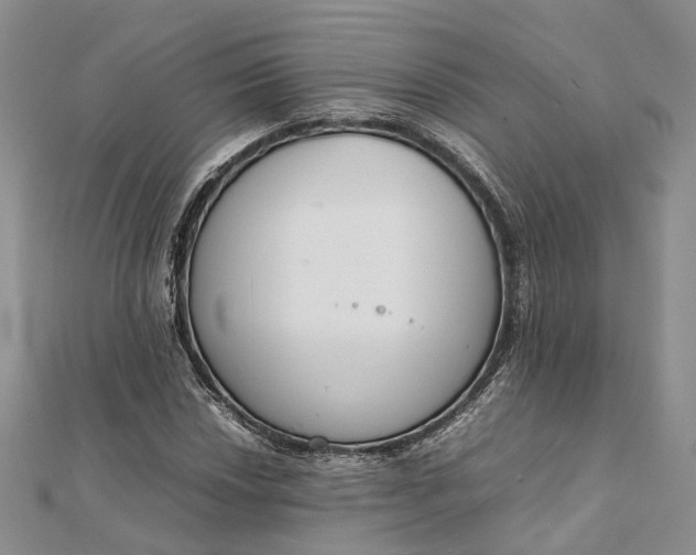 X0000111921018200908101217