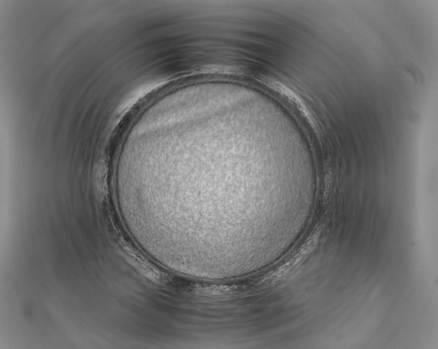 X0000111921019200908101217