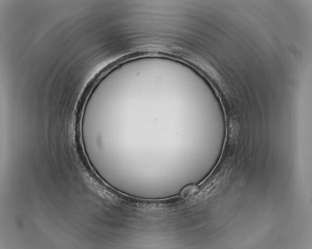 X0000111921020200908101217