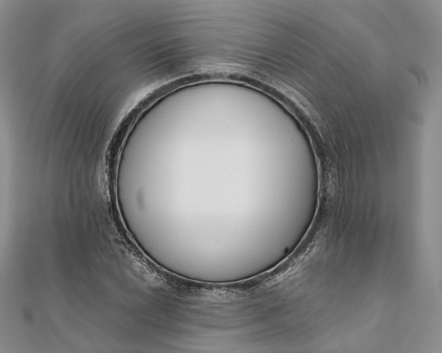 X0000111921022200908101217