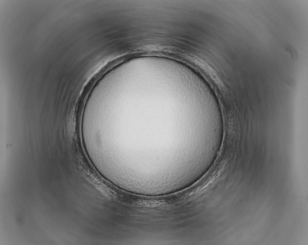 X0000111921023200908101217