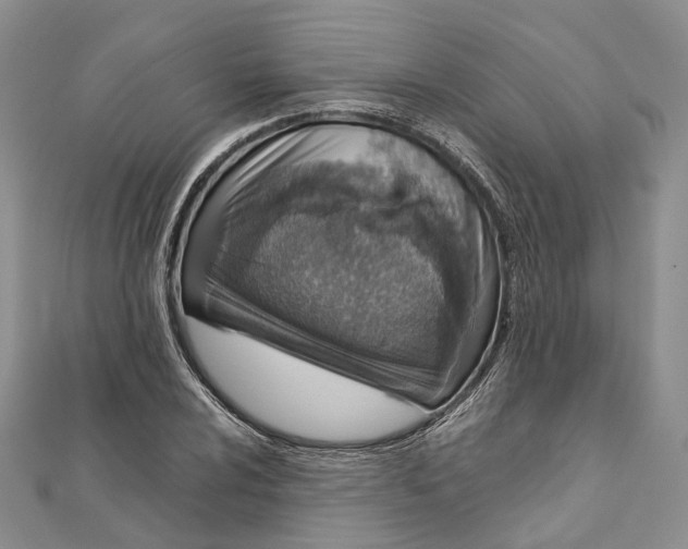 X0000111921024200908101217