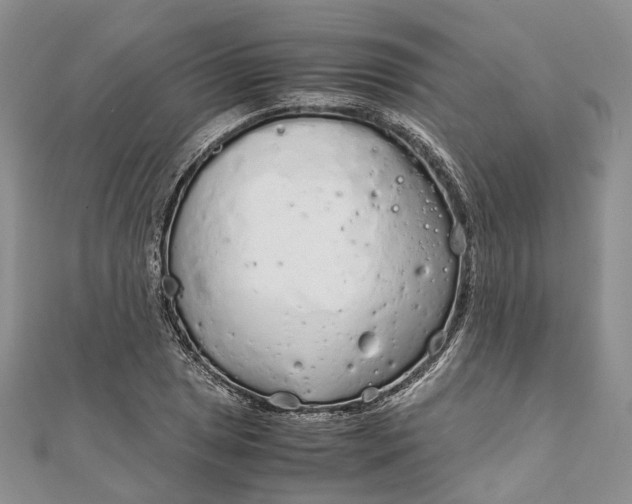 X0000111921025200908101217