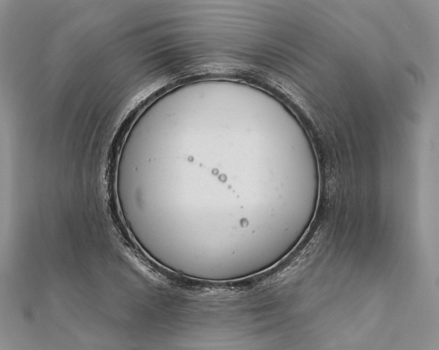 X0000111921026200908101217