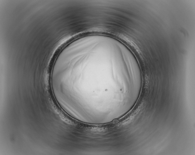 X0000111921029200908101217