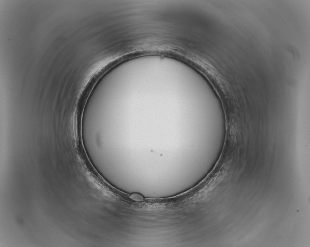 X0000111921030200908101217