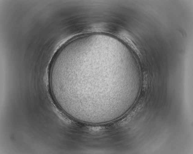 X0000111921031200908101217