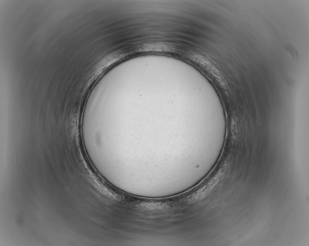 X0000111921033200908101217