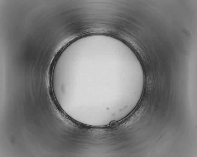 X0000111921034200908101217