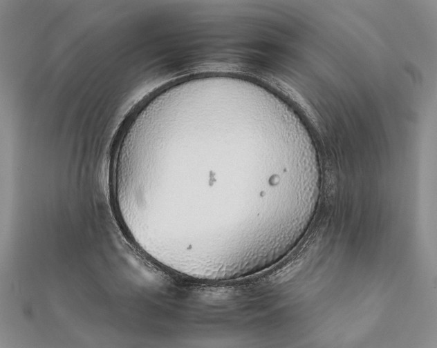 X0000111921035200908101217