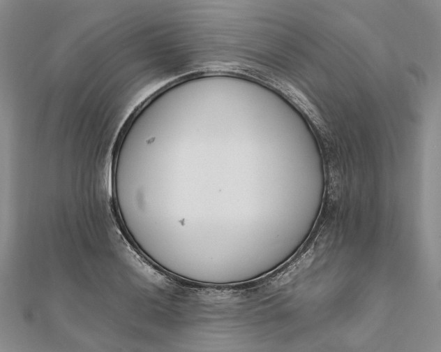 X0000111921036200908101217