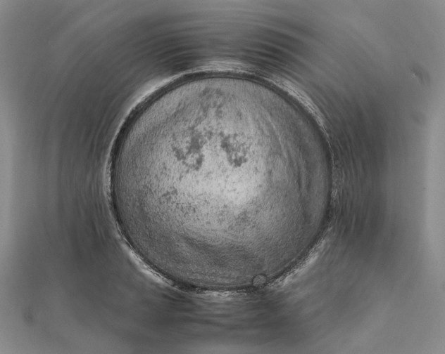 X0000111921037200908101217