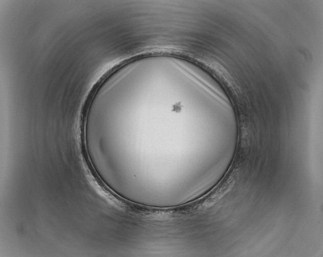 X0000111921038200908101217