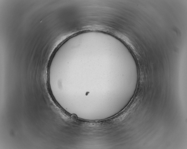 X0000111921040200908101217