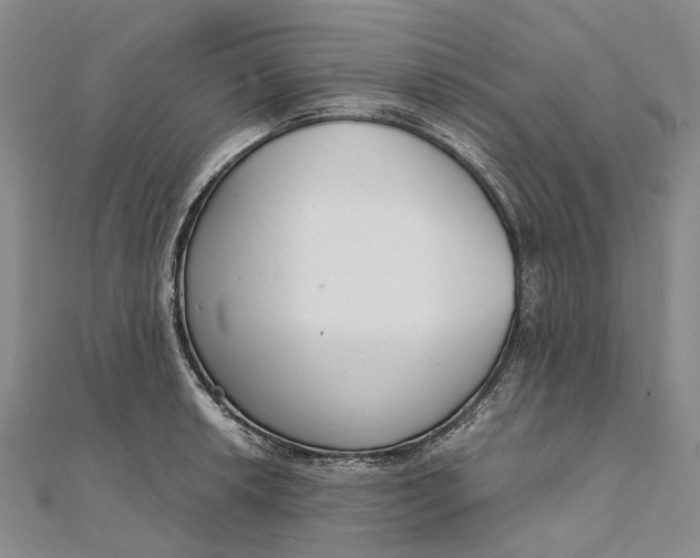 X0000111921042200908101217