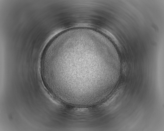 X0000111921043200908101217