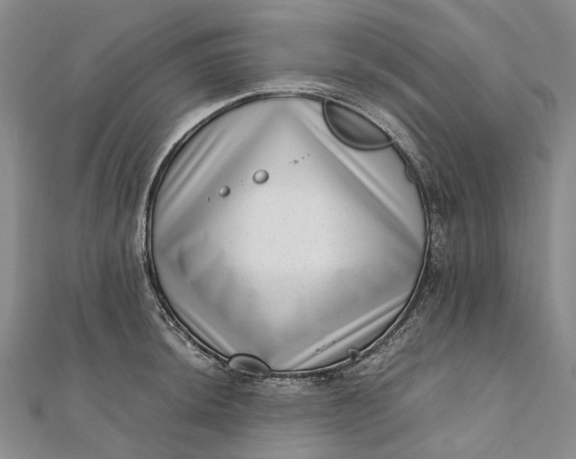 X0000111921044200908101217