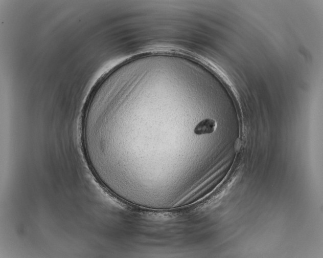 X0000111921045200908101217