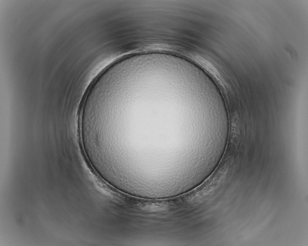 X0000111921047200908101217