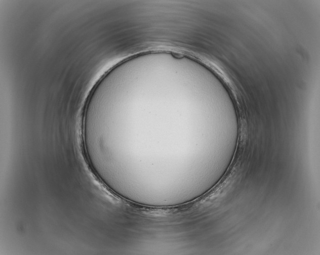 X0000111921048200908101217