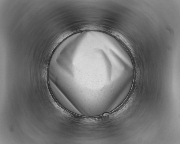 X0000111921049200908101217