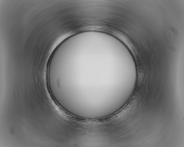 X0000111921050200908101217