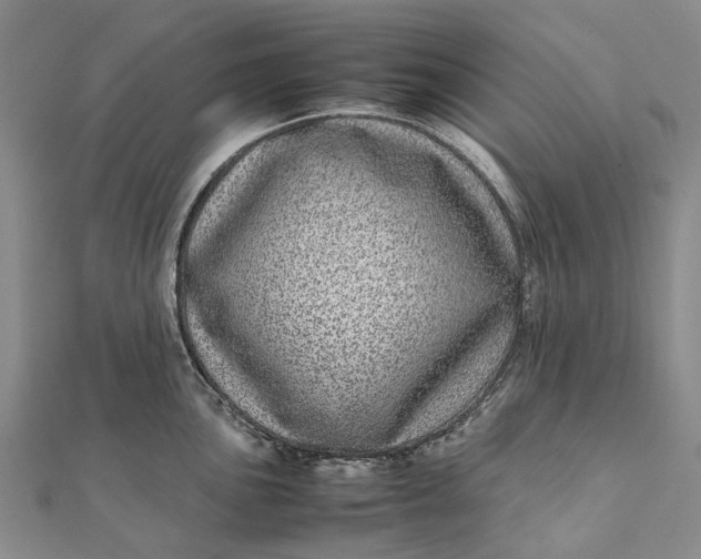 X0000111921051200908101217