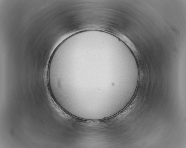 X0000111921052200908101217