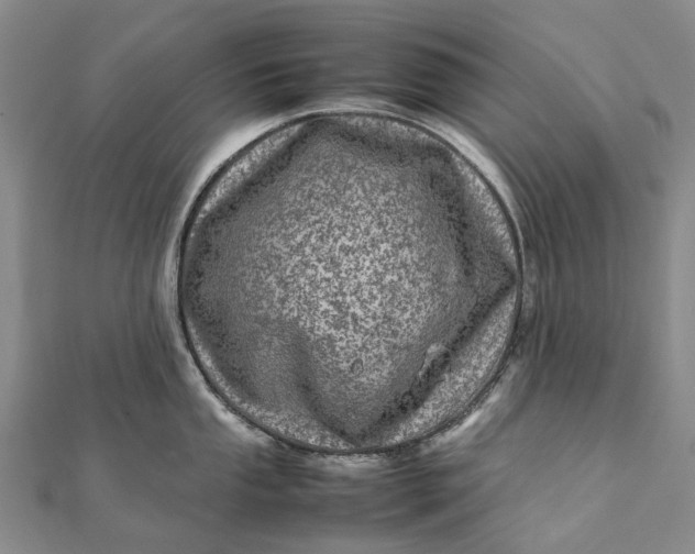 X0000111921053200908101217