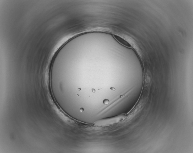 X0000111921054200908101217