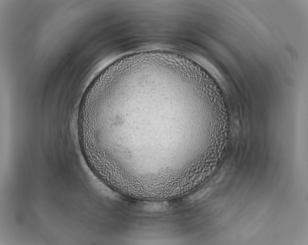 X0000111921055200908101217