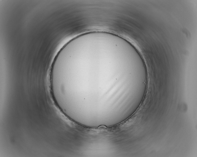 X0000111921056200908101217