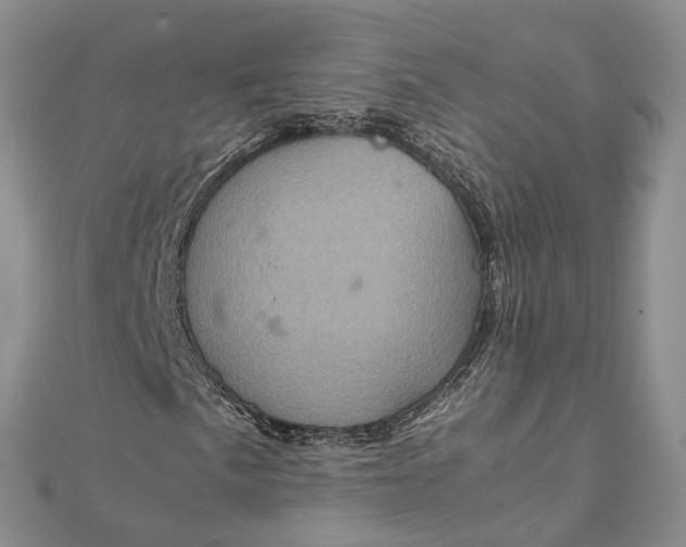 X0000111921057200908101216