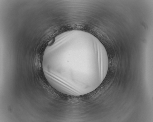 X0000111921058200908101216