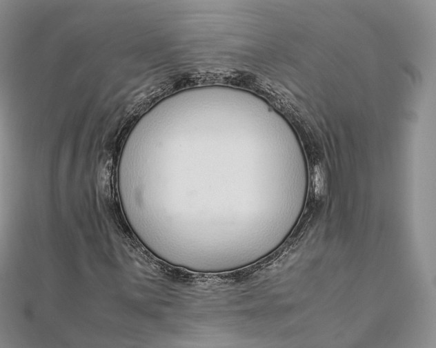 X0000111921059200908101216