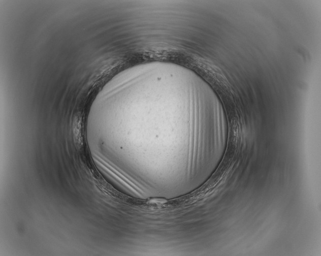 X0000111921060200908101216