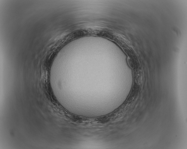 X0000111921061200908101216