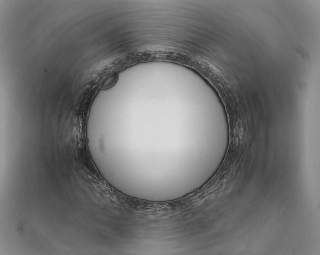 X0000111921062200908101216