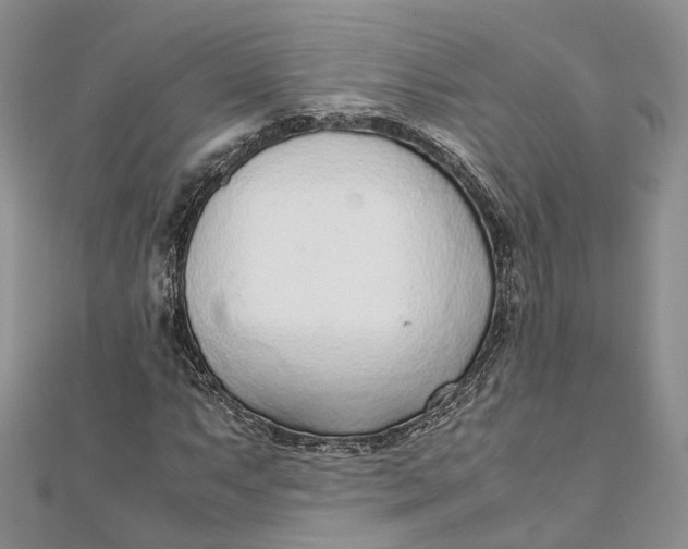 X0000111921063200908101216