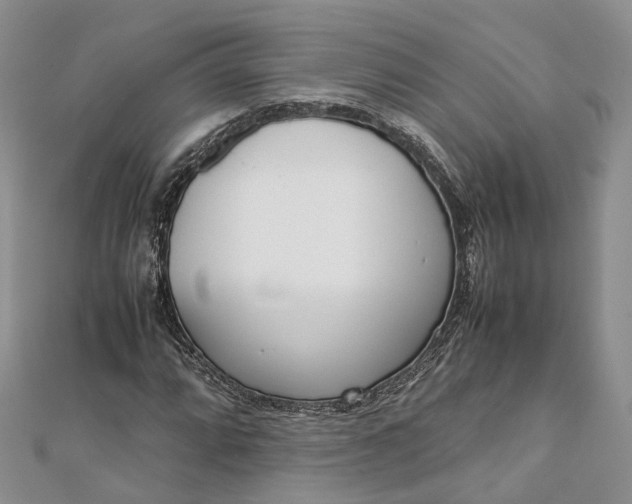 X0000111921064200908101216