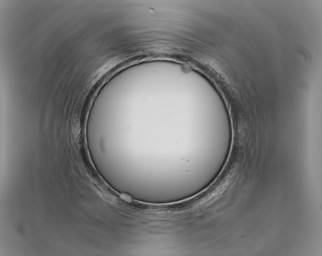 X0000111921065200908101216