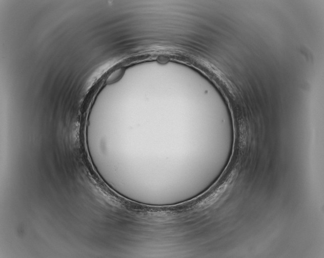 X0000111921066200908101216