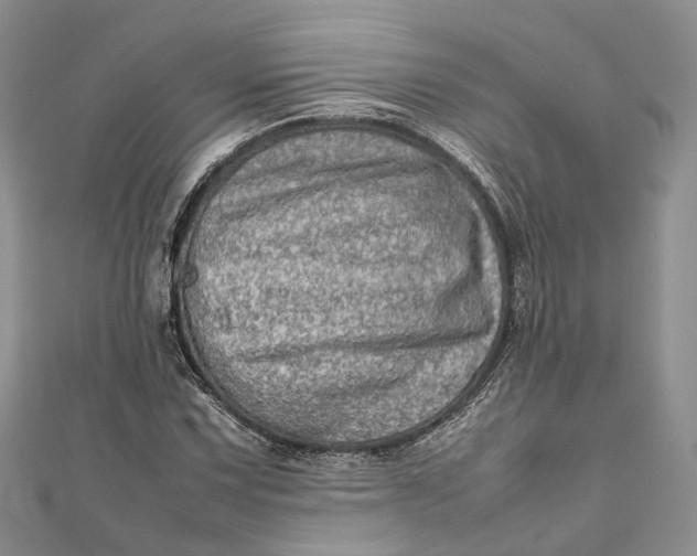 X0000111921067200908101216