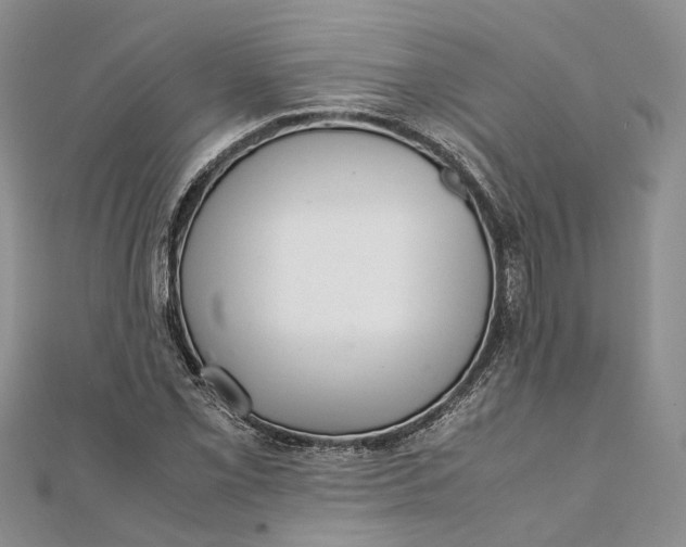 X0000111921069200908101216