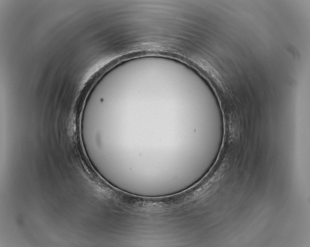 X0000111921070200908101216