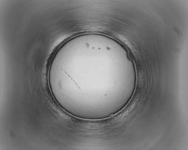 X0000111921071200908101216