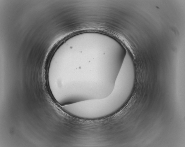 X0000111921072200908101216