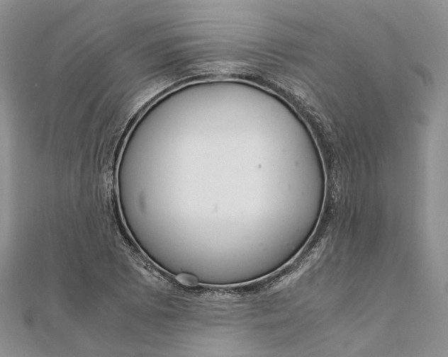 X0000111921073200908101216