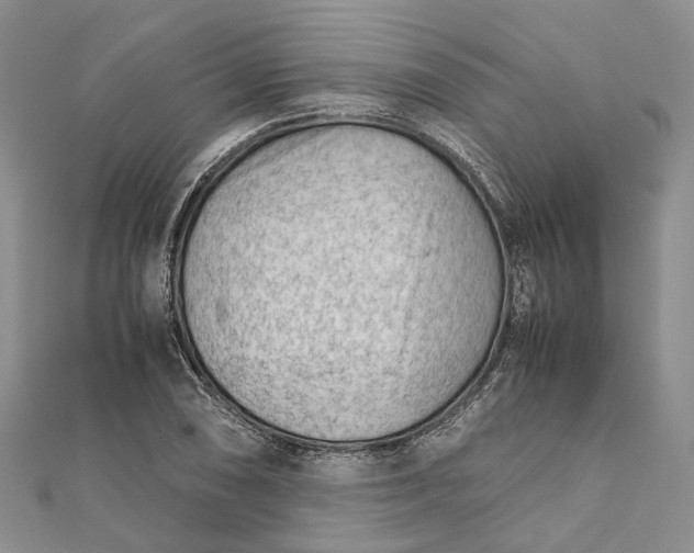 X0000111921074200908101216